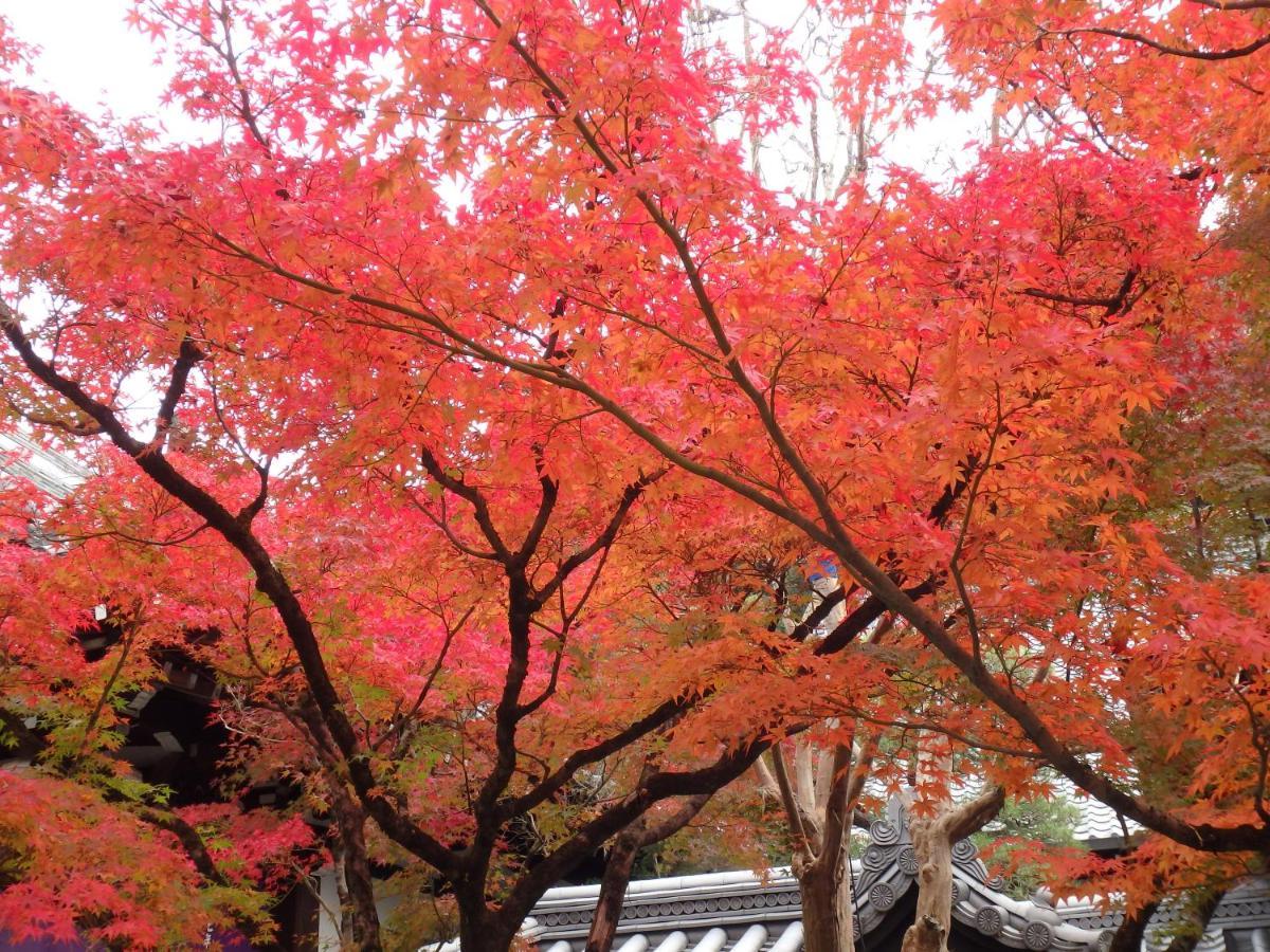 Kyo No Yado Nishioji Hotel Kyoto Bagian luar foto
