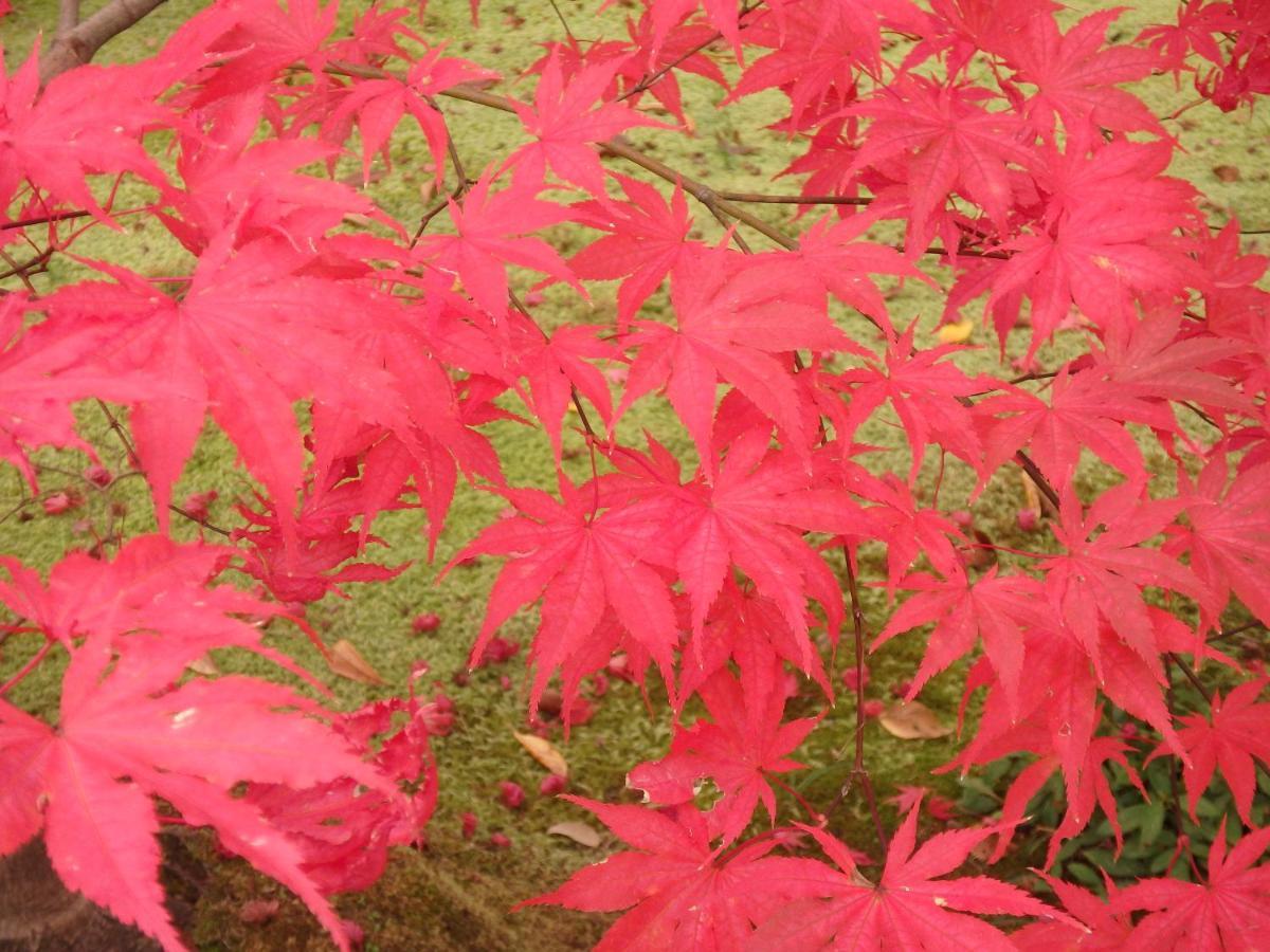 Kyo No Yado Nishioji Hotel Kyoto Bagian luar foto