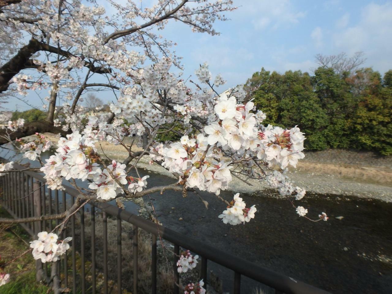 Kyo No Yado Nishioji Hotel Kyoto Bagian luar foto